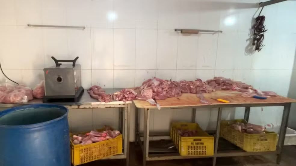 Mesa de preparo, freezers e caixas com carne sem comprovação de origem encontradas no imóvel em Boa Esperança