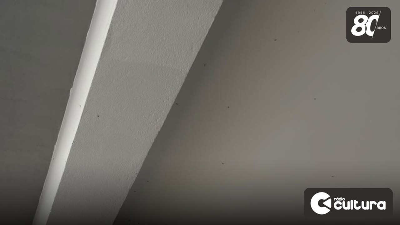 Denúncia leva reportagem ao PSF do Jardim Floresta: há mosquitos, mas não pernilongos
