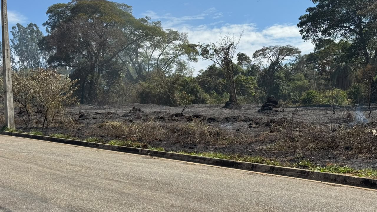 Onde o fogo já havia passado, o terreno ficou tomado de cinza e chão preto