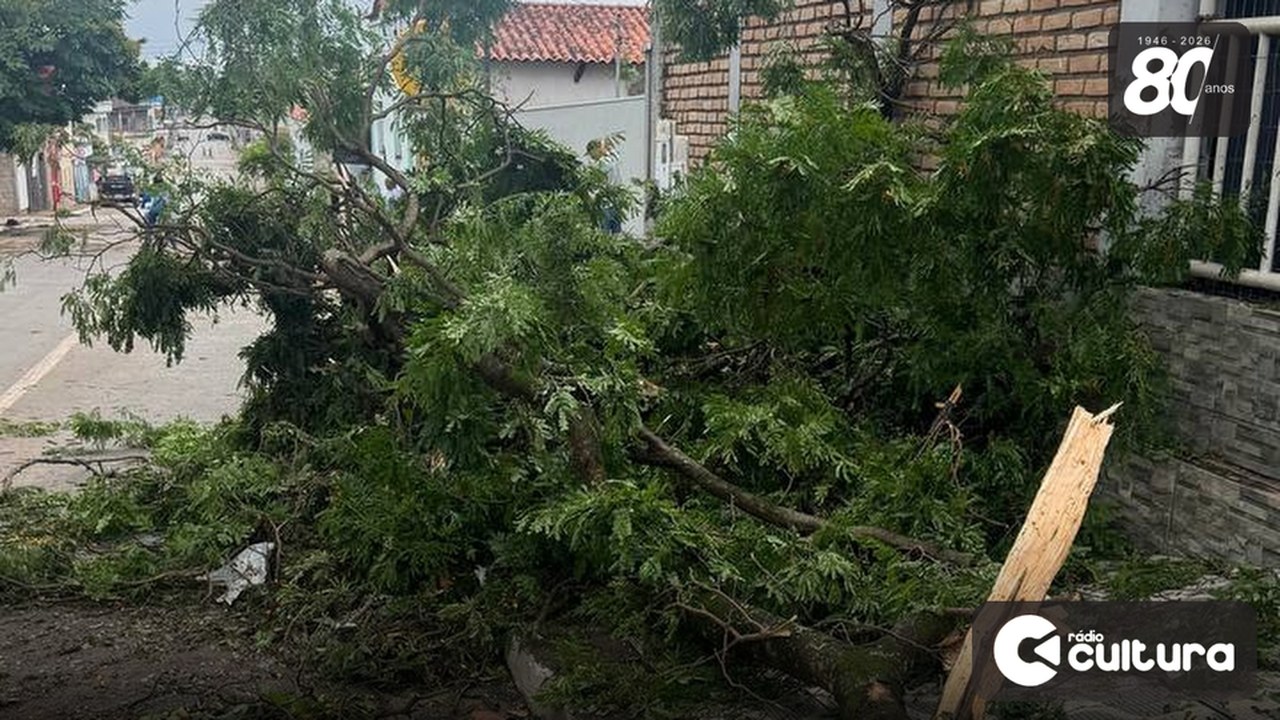 Ijaci mapeia os danos do temporal casa a casa e prepara decreto