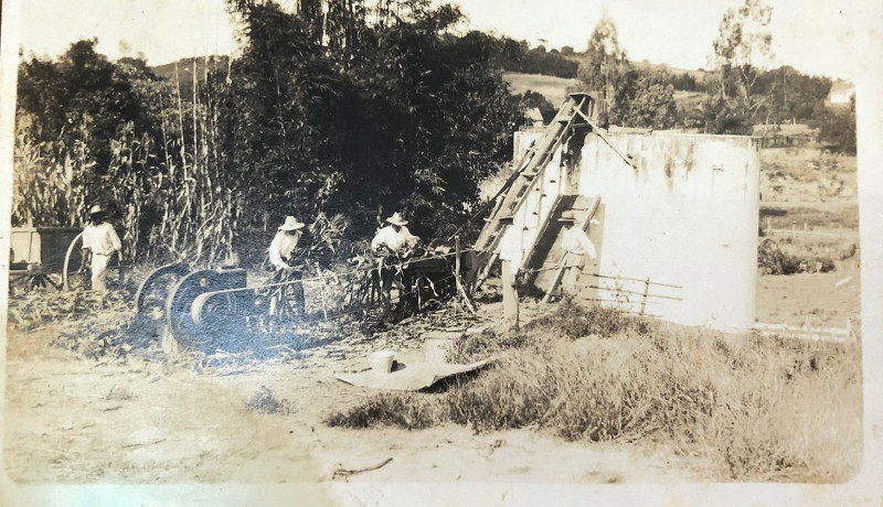 Ensilagem na prática na Escola Agrícola de Lavras, em registro do começo dos anos 1920 · Foto: Acervo Memórias UFLA/Reprodução