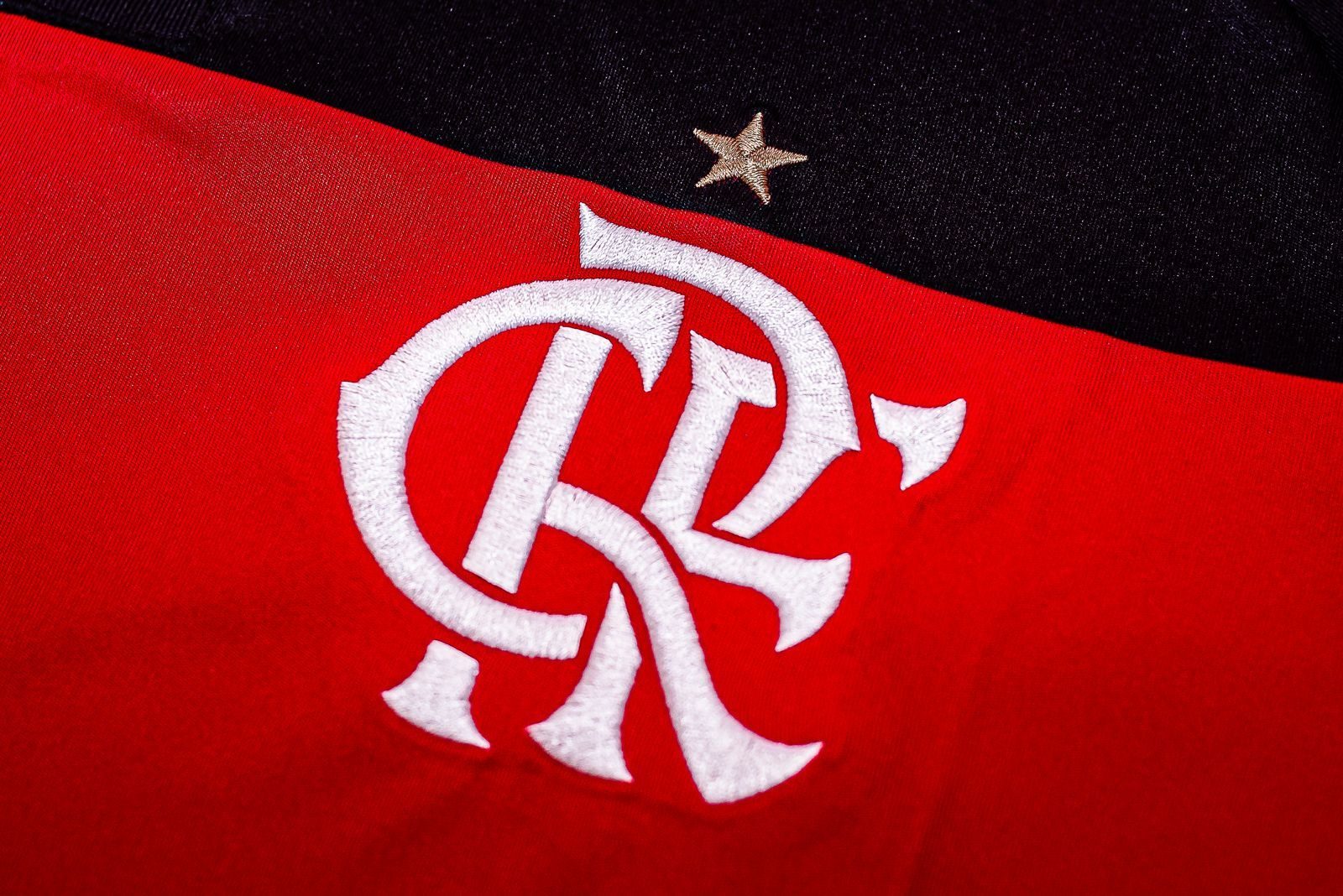 Símbolo do Flamengo, que publicou a nota institucional "Flamengo pelo futebol" nesta terça-feira