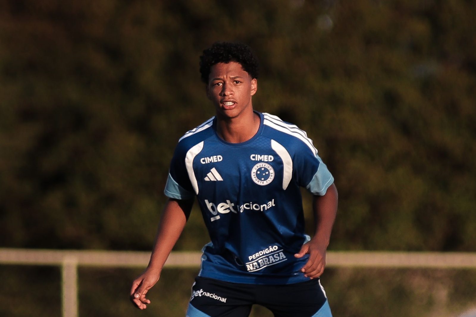 Elenco do Cruzeiro em atividade antes da decisão contra a Chapecoense, no Mineirão