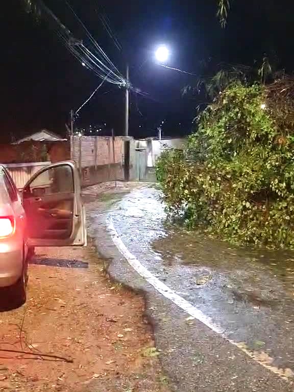 Árvore caída sobre a via perto do posto de saúde em Ribeirão Vermelho